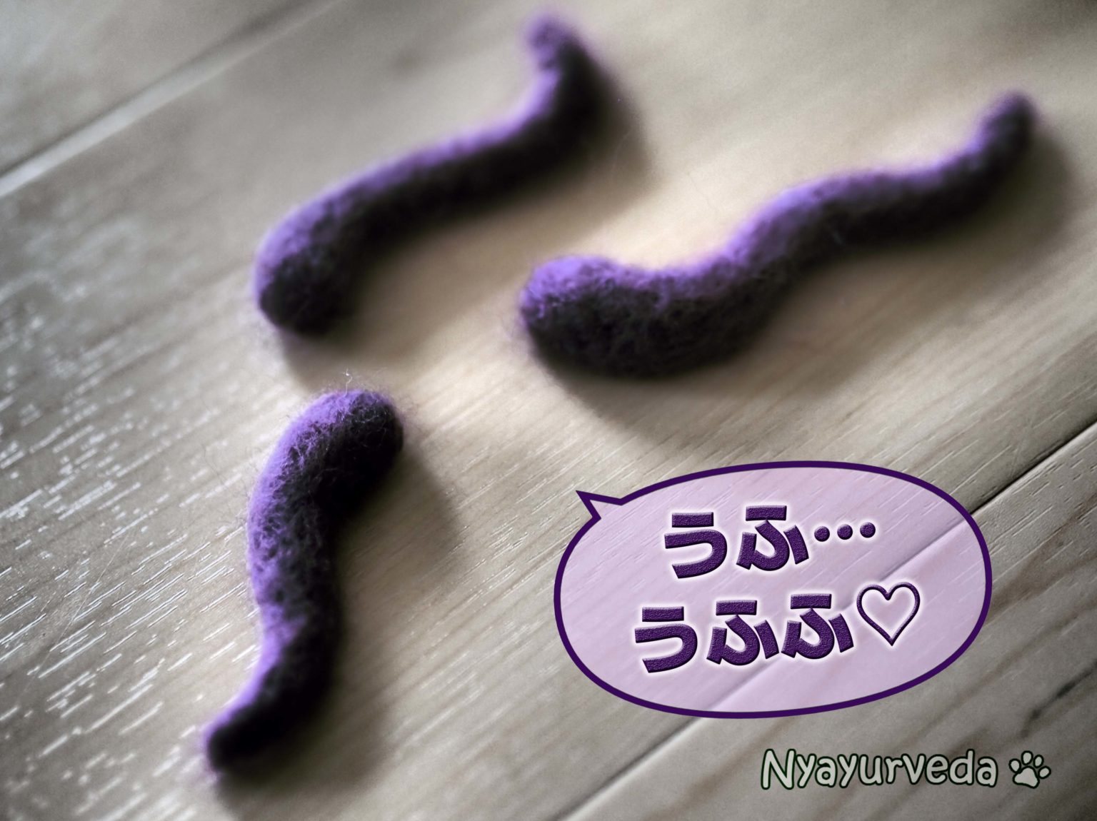 未消化物・アーマ３匹