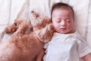 眠る犬と赤ちゃん・睡眠